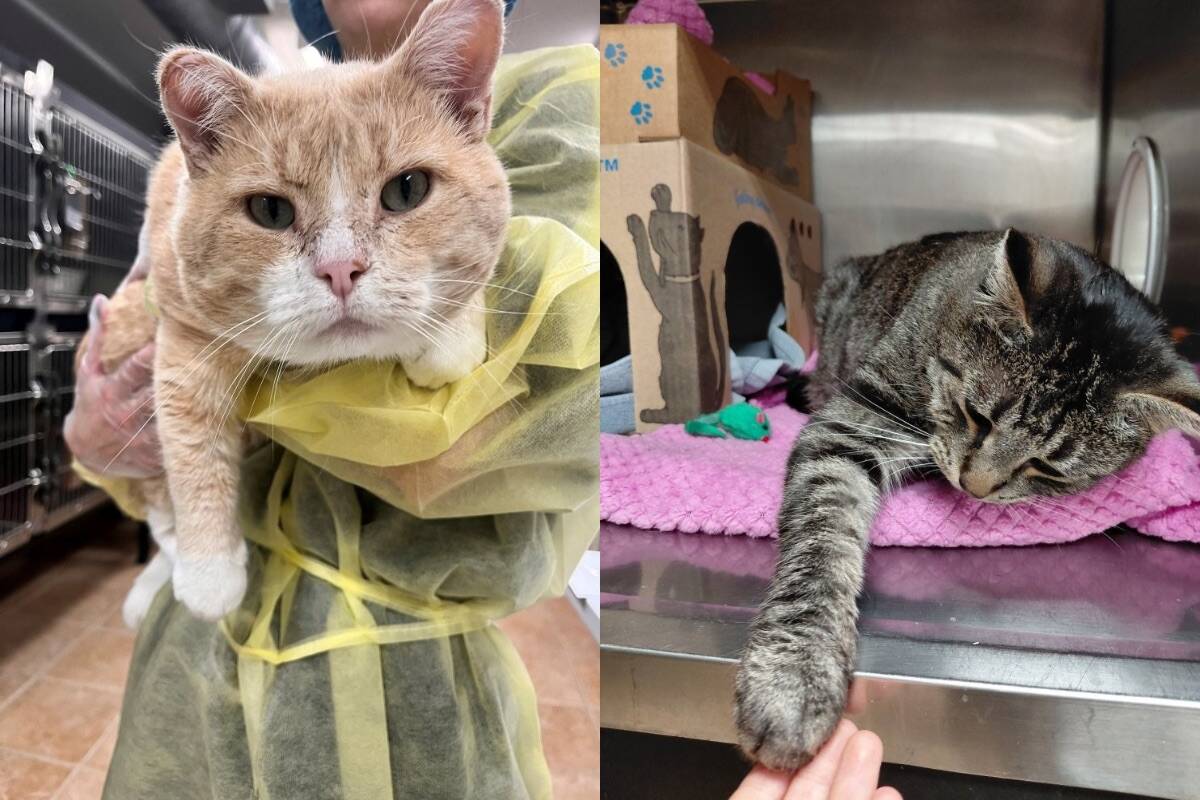 40848312_web1_251120-KCN-21-