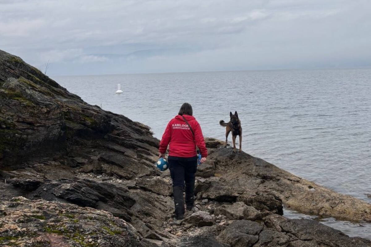 COSAR , Kelowna RCMP search for missing person at Bertram Park