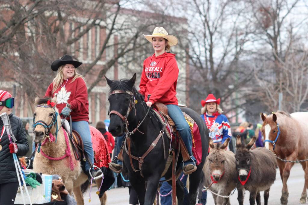Horses and donkeys got in on the fun. (Brendan Shykora/Morning Star)